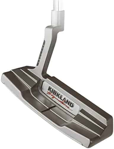 Best Customizable Weight Putter.  It is a counterbalanced putter that looks more like a standard putter head. 