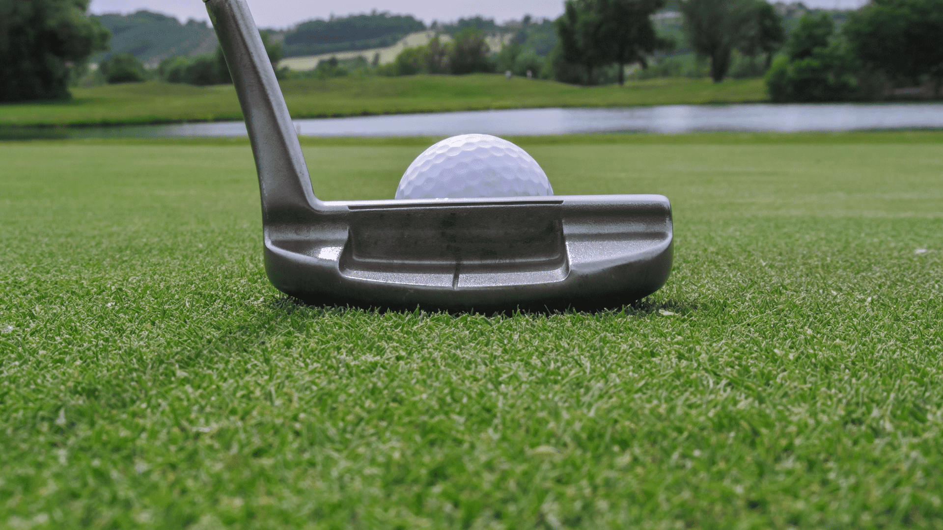 best counterbalanced putters - photo of a counterbalanced putter and golf ball on the green near a pond.